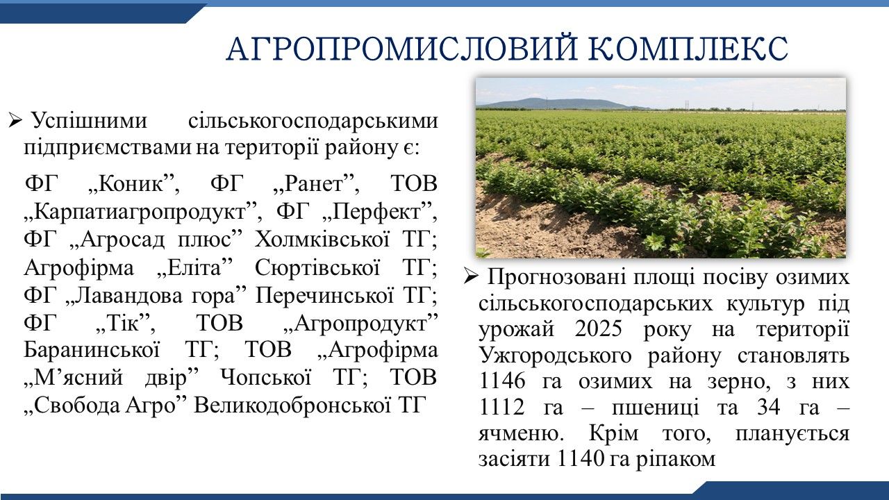Слайд13.JPG