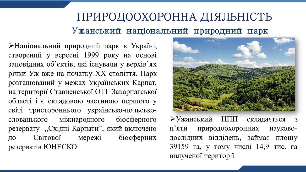 Слайд14.JPG